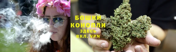 дживик Кулебаки