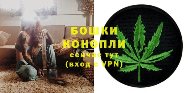 мдпв Коряжма